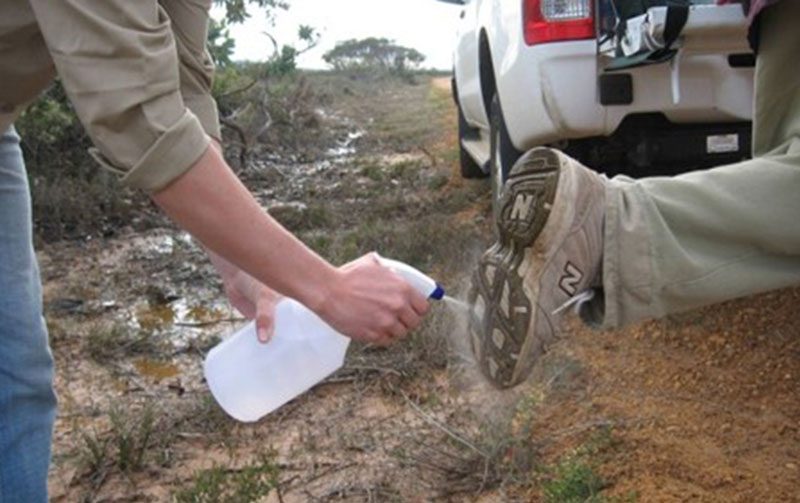 Cleaning a boot with a spray bottle