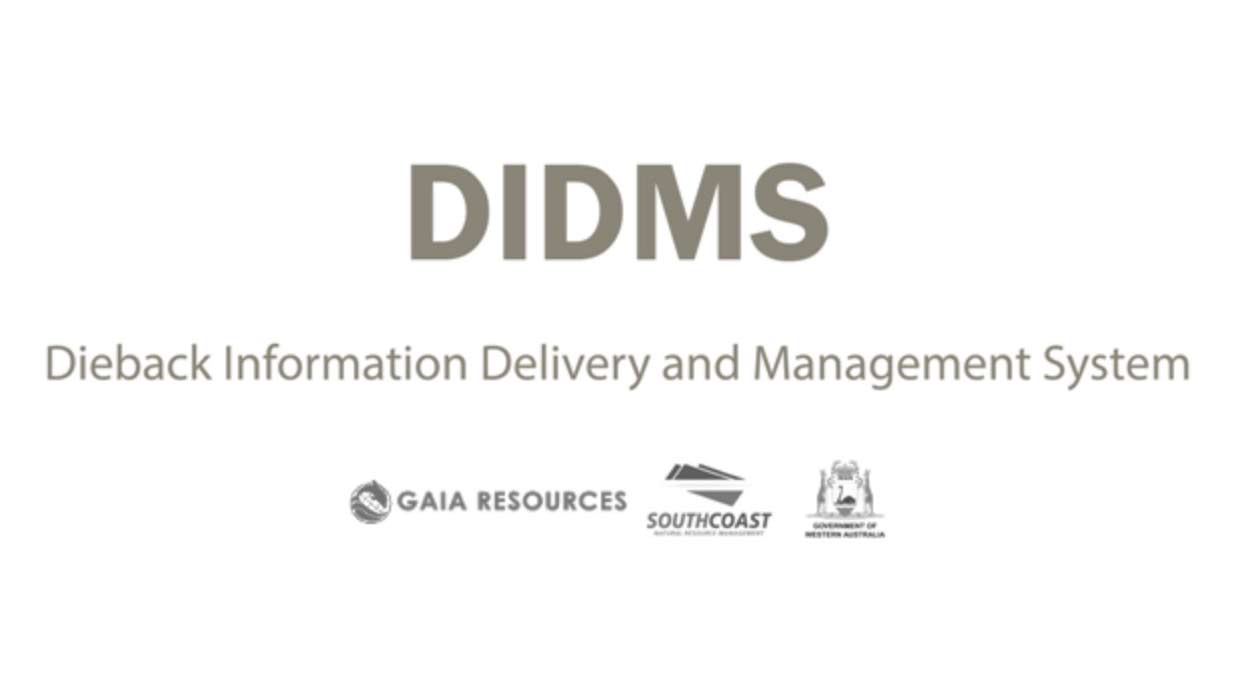 DIDMS logo